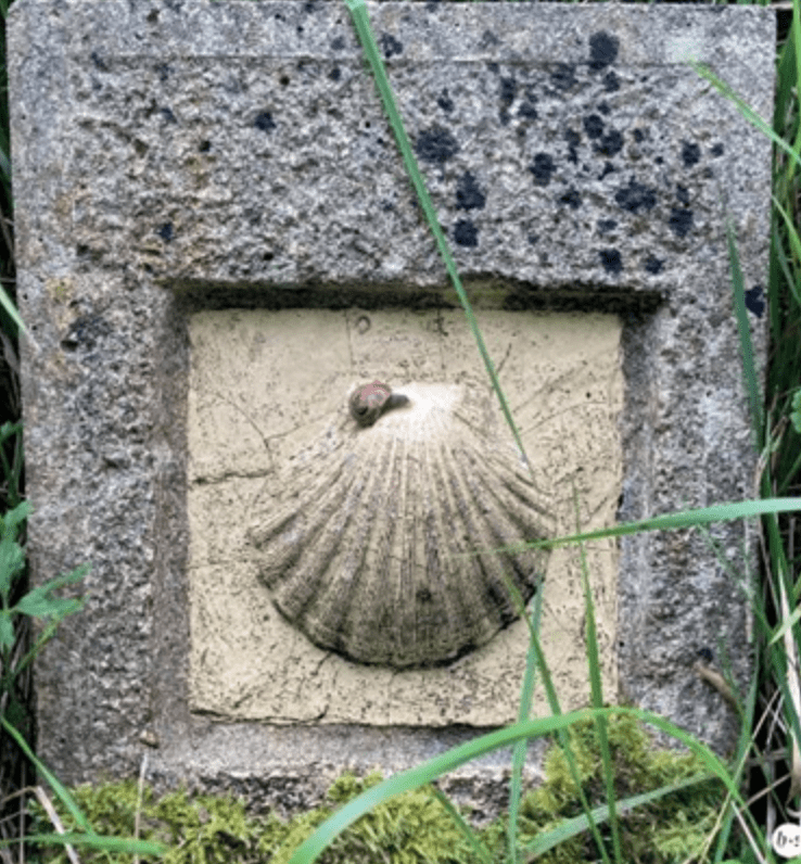 Lezing ‘De Pelgrimslak’ door Yvette Oostelbos – 15&nbsp;januari