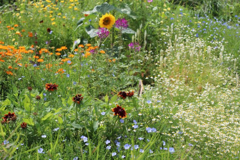 Naar de tuin – Goede Vrijdag voor kinderen (18 april 15.00&nbsp;uur)