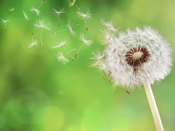 Lezing ‘verliezen en rouwen’ op donderdag 12&nbsp;maart